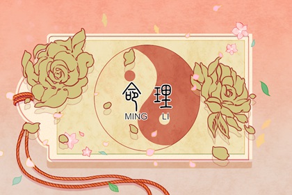 万年历黄历日历最新版,农历日历转换查询,日历2026日历表